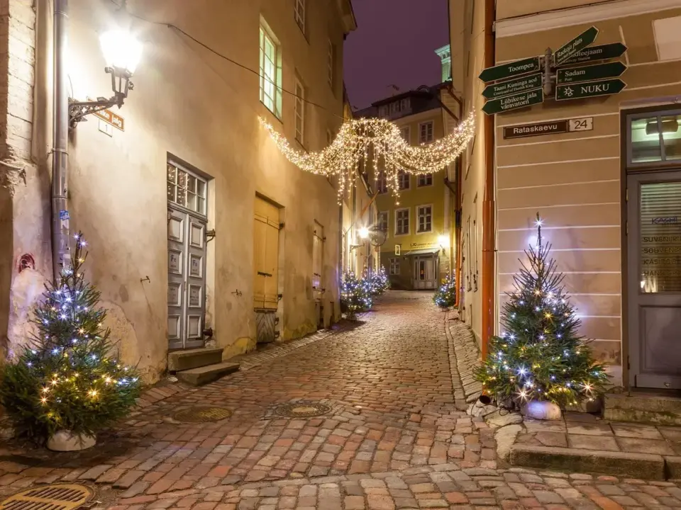 Hvad handler Stranger Things om? - Mørke hemmeligheder, barndommens venskab og kampen mod det ukendte