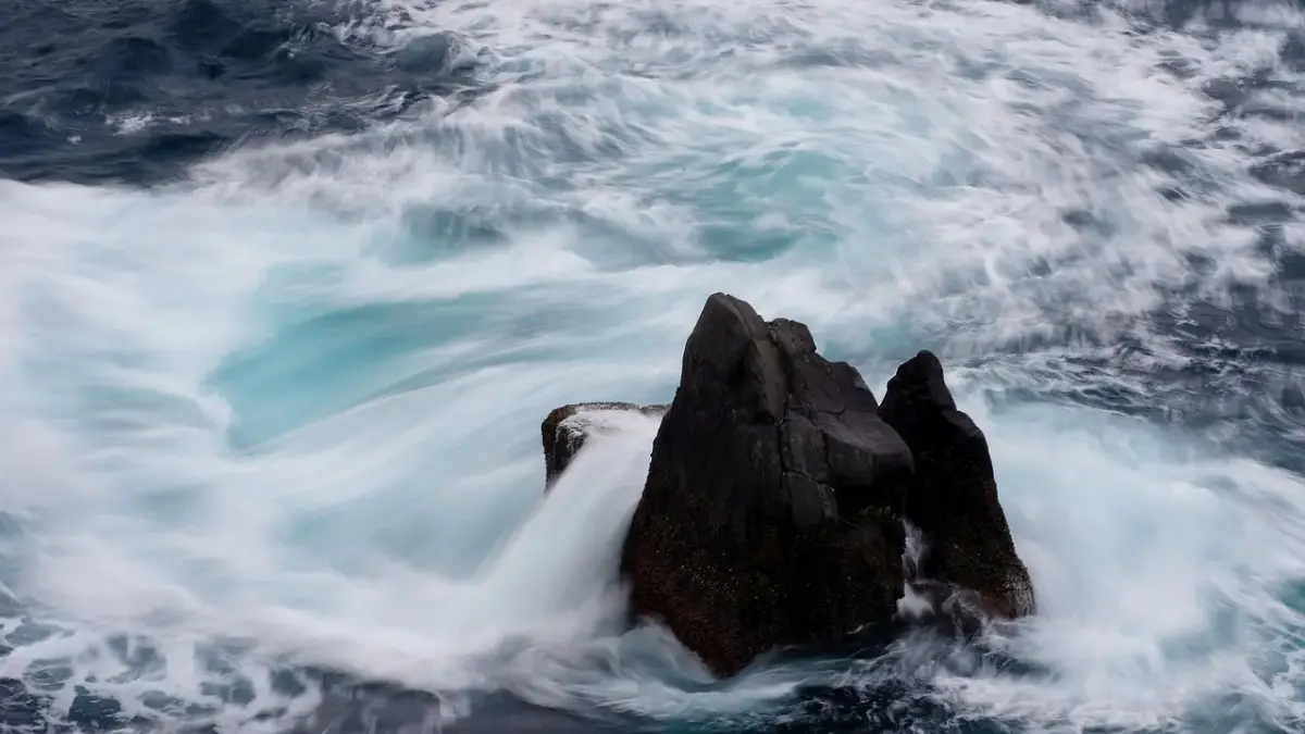 Hvad koster Disney+ med reklamer i Danmark?