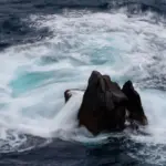 Hvad koster Disney+ med reklamer i Danmark?