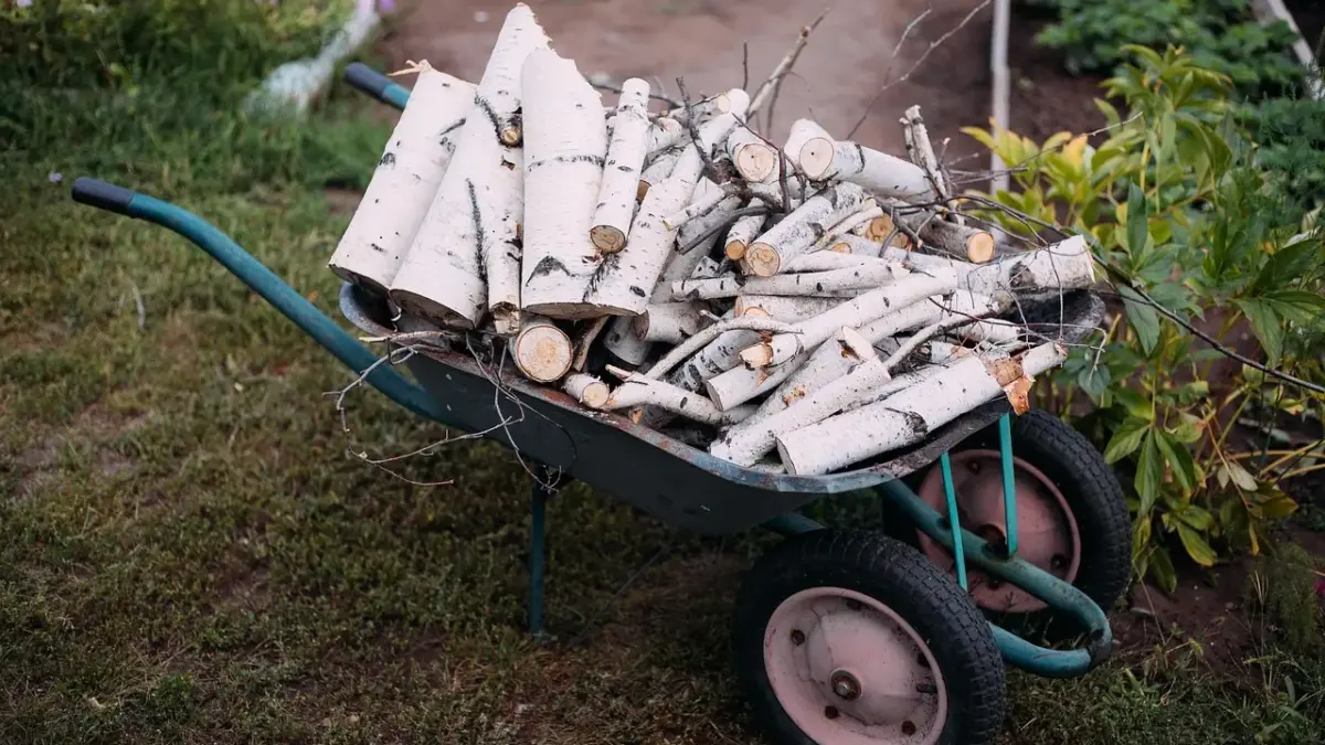 Hvem har skrevet Skammerens datter? Mød forfatteren bag det danske fantasy-fænomen