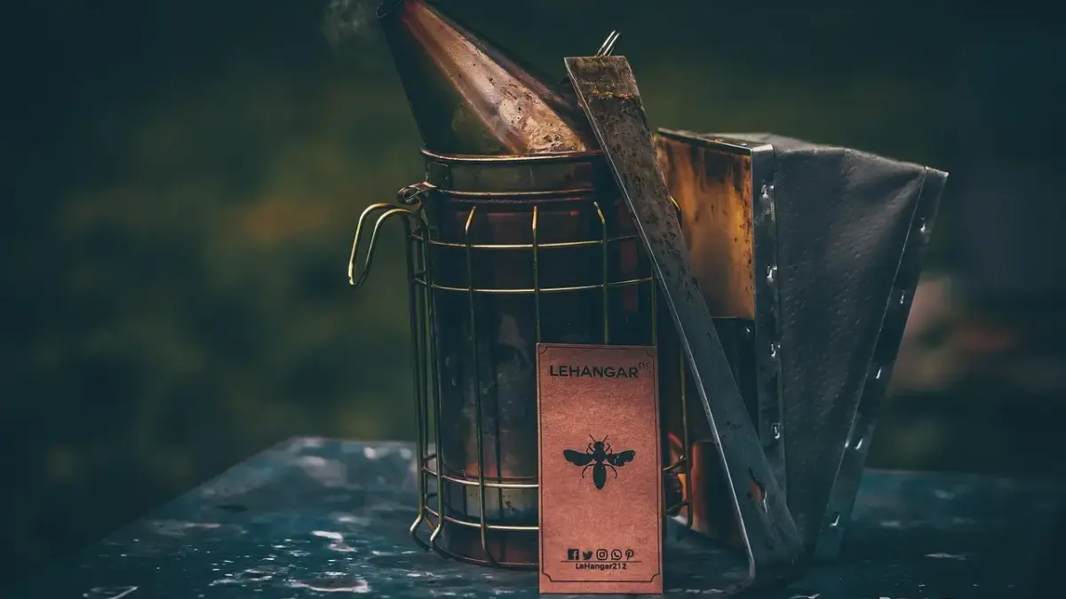 Hvor bor Frank Hvam? En hyggelig afsløring bag komikkens lukkede døre