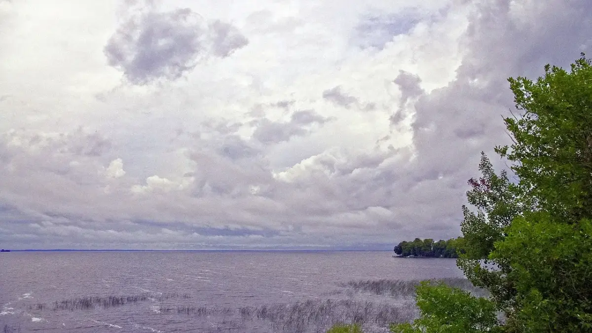 Hvor gammel er Mille Dinesen? Sandheden bag stjernens tidløse charme