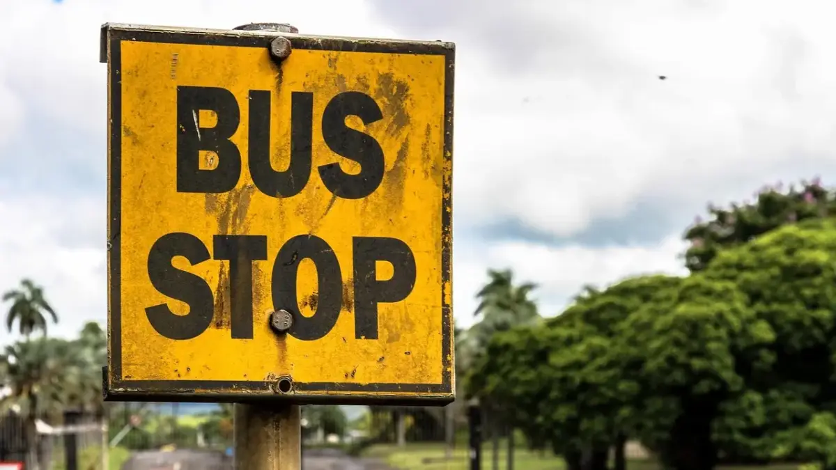 Hvor kan man se kærlighed ved første hik? - Fra busstoppet til måneskin: 9 øjeblikke der giver hjertebanken