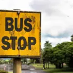 Hvor kan man se kærlighed ved første hik? - Fra busstoppet til måneskin: 9 øjeblikke der giver hjertebanken