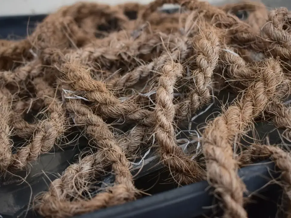 Hvor kan man se Ted Lasso? Din hurtige streamingguide + 5 grunde til at starte i aften