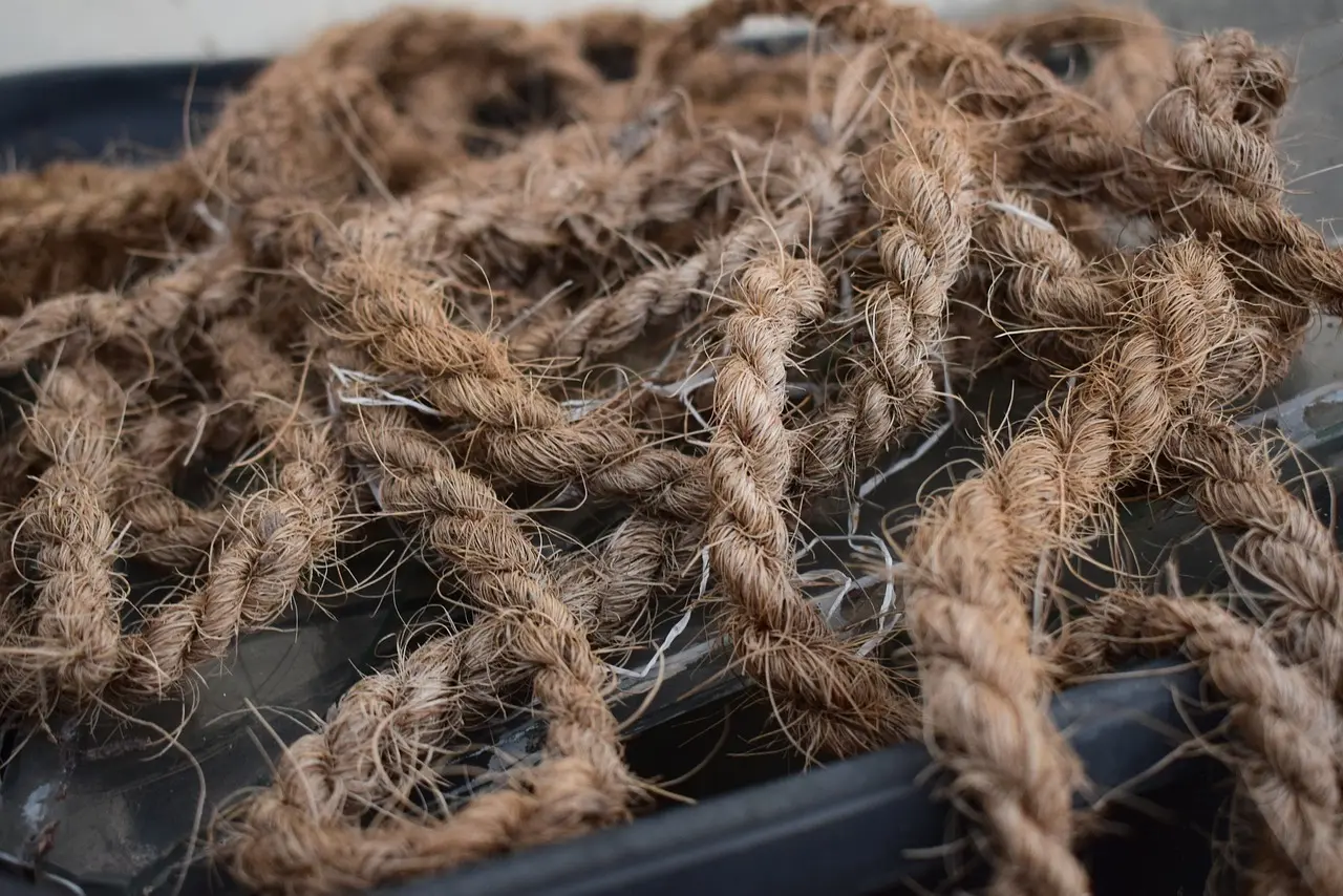 Hvor kan man se Ted Lasso? Din hurtige streamingguide + 5 grunde til at starte i aften