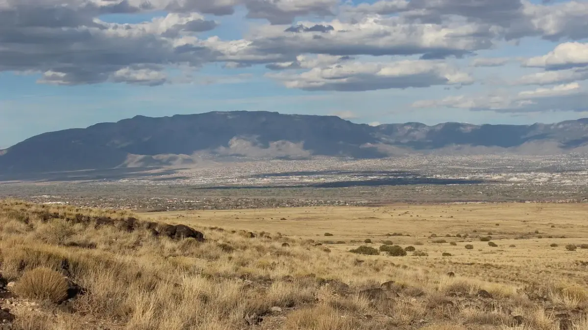 Hvordan hænger Better Call Saul og Breaking Bad sammen?