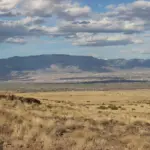 Hvordan hænger Better Call Saul og Breaking Bad sammen?