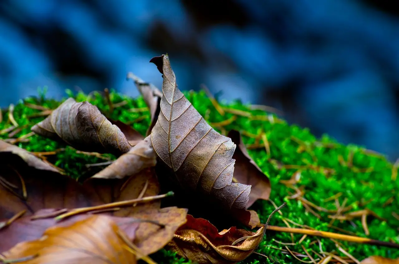 Medvirkende i After We Fell