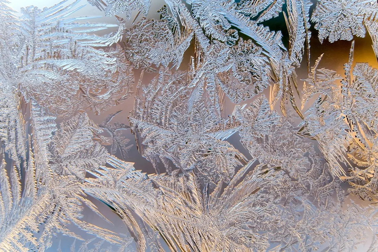 Medvirkende i Office Christmas Party